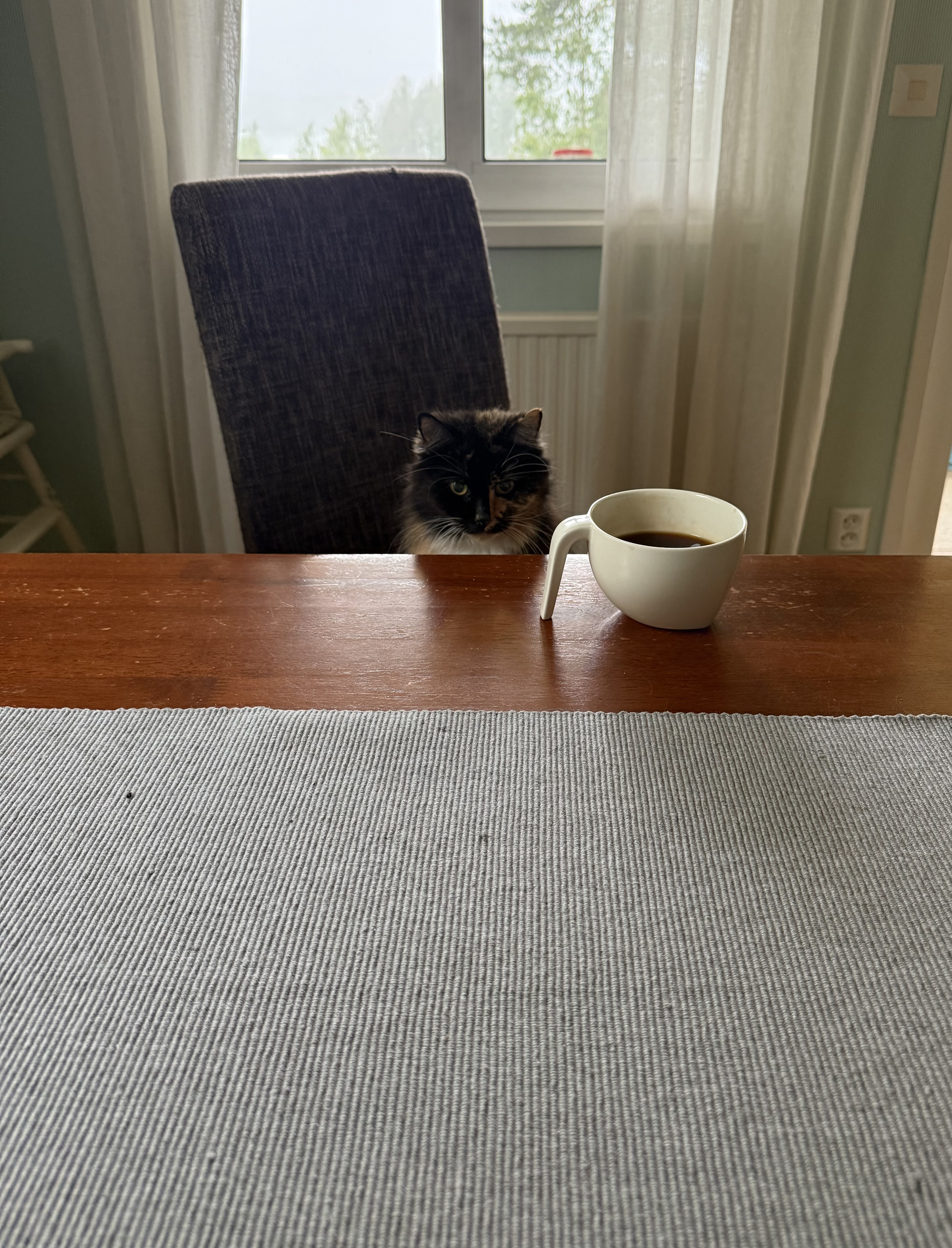 Kaffekopp