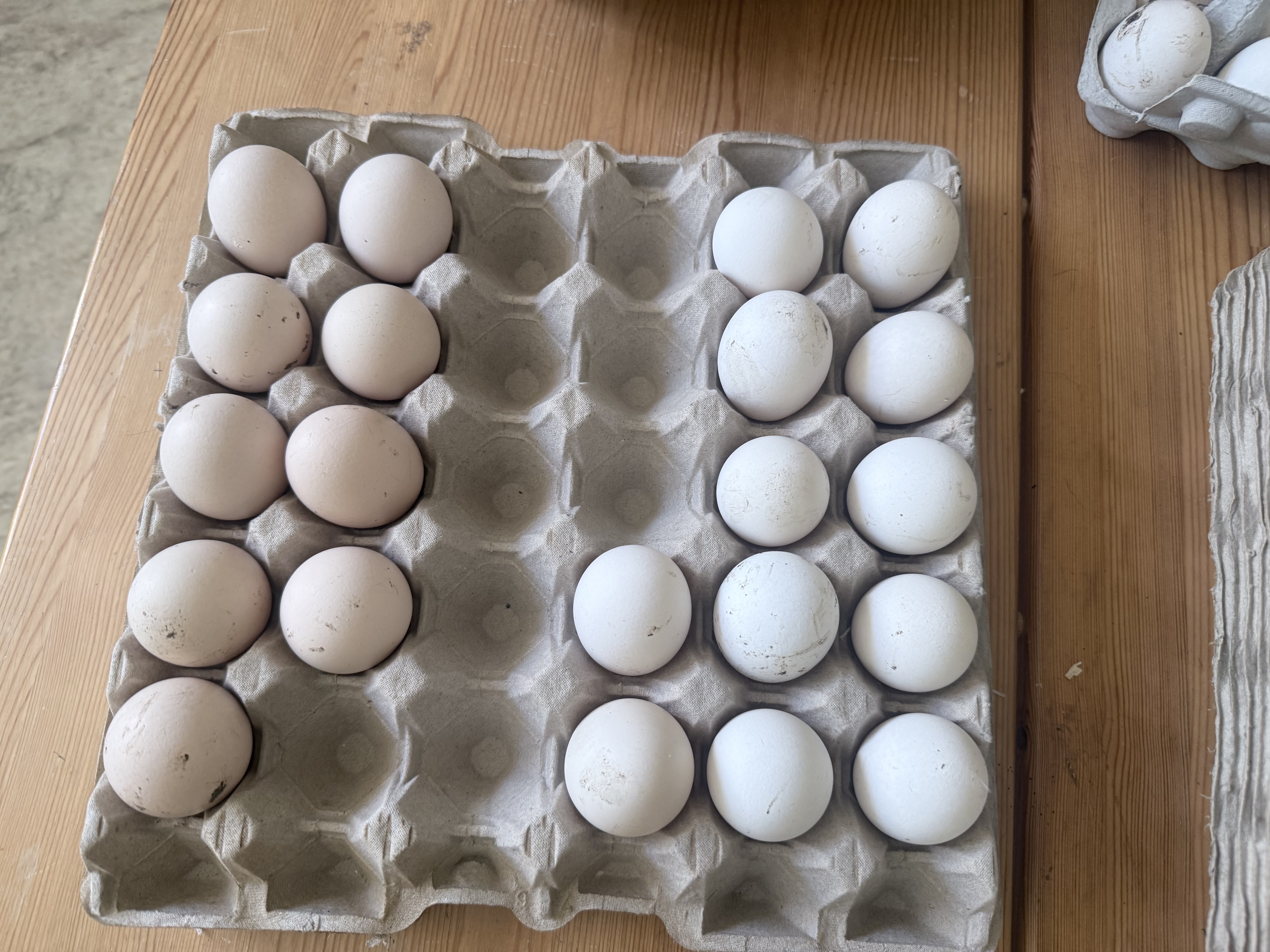 Hönsägg